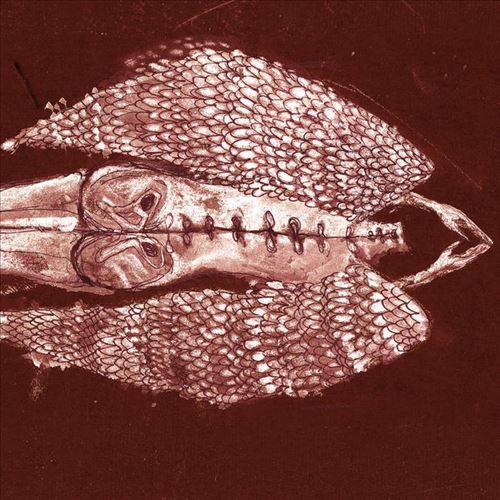 Homb cover art