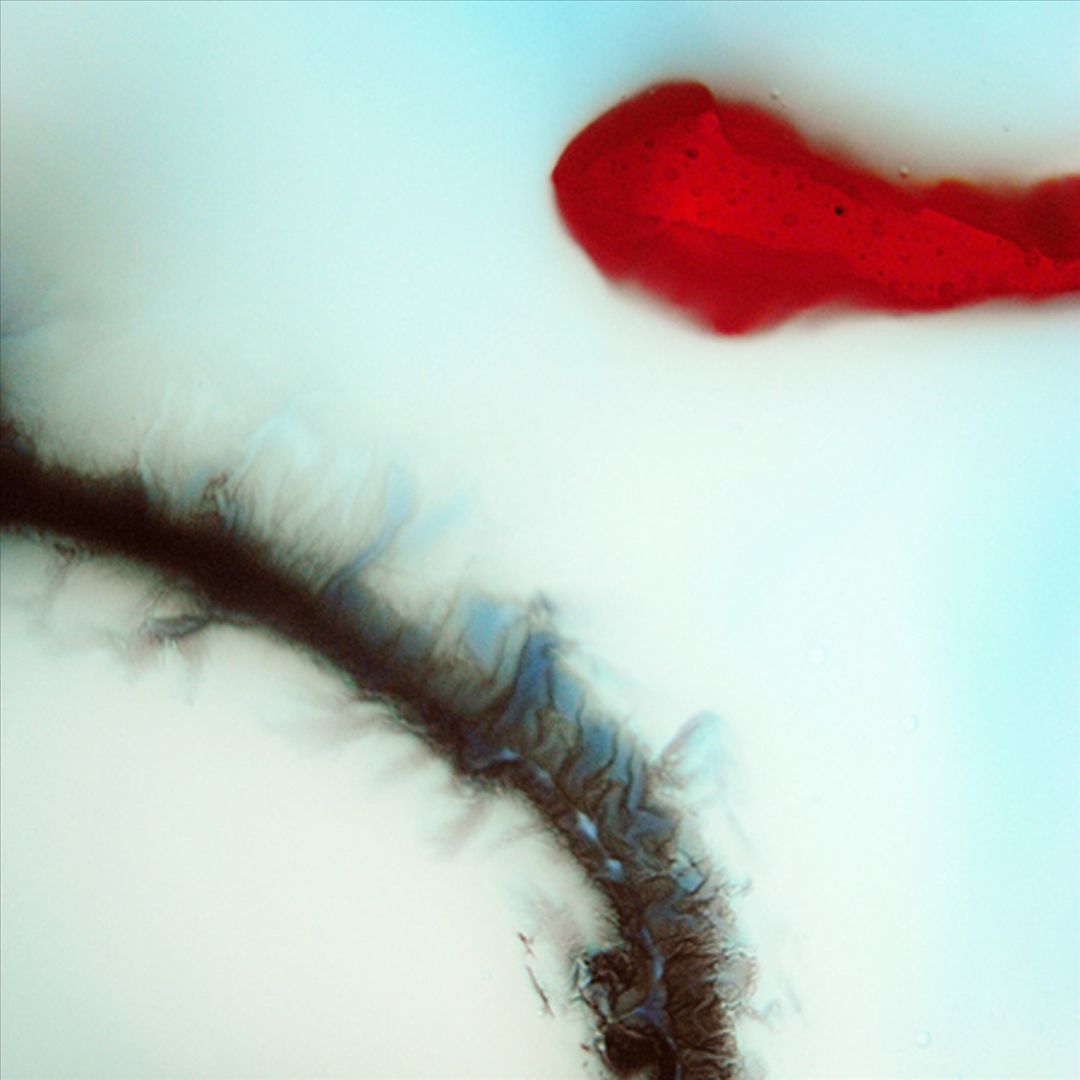 Stubborn Heart cover art