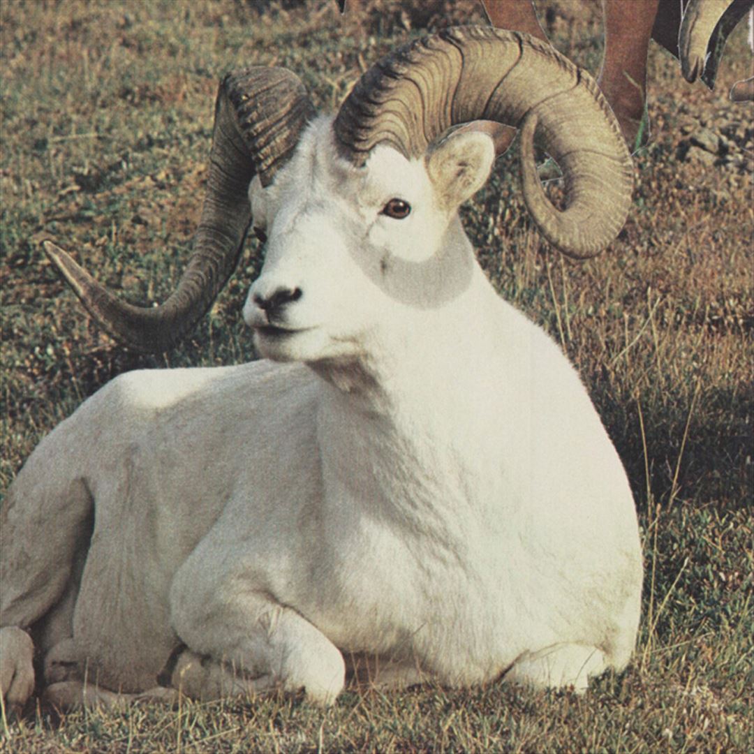 Song for an Unborn Sun cover art