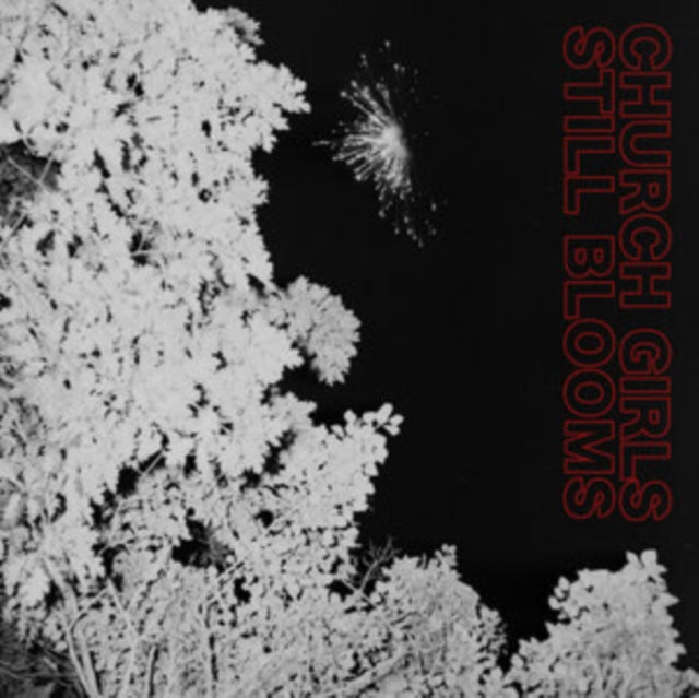 STILL BLOOMS cover art