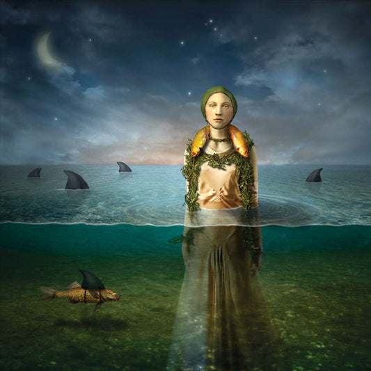 Found in the Flood cover art