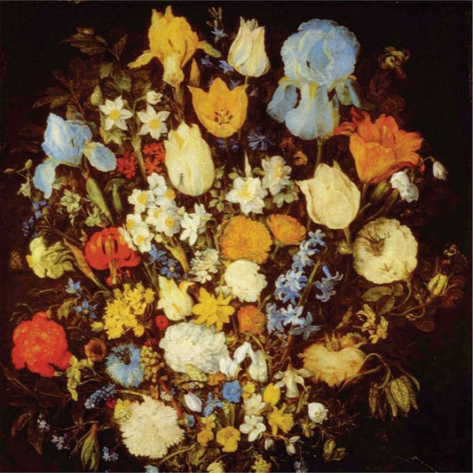 Navigated Like the Swan cover art