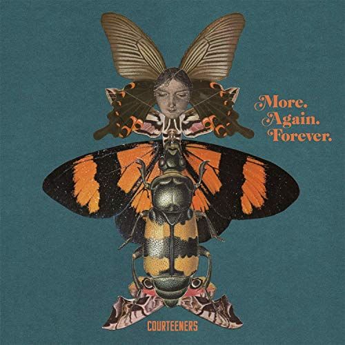 More. Again. Forever. cover art