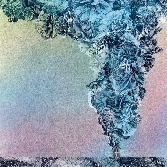Carnation cover art