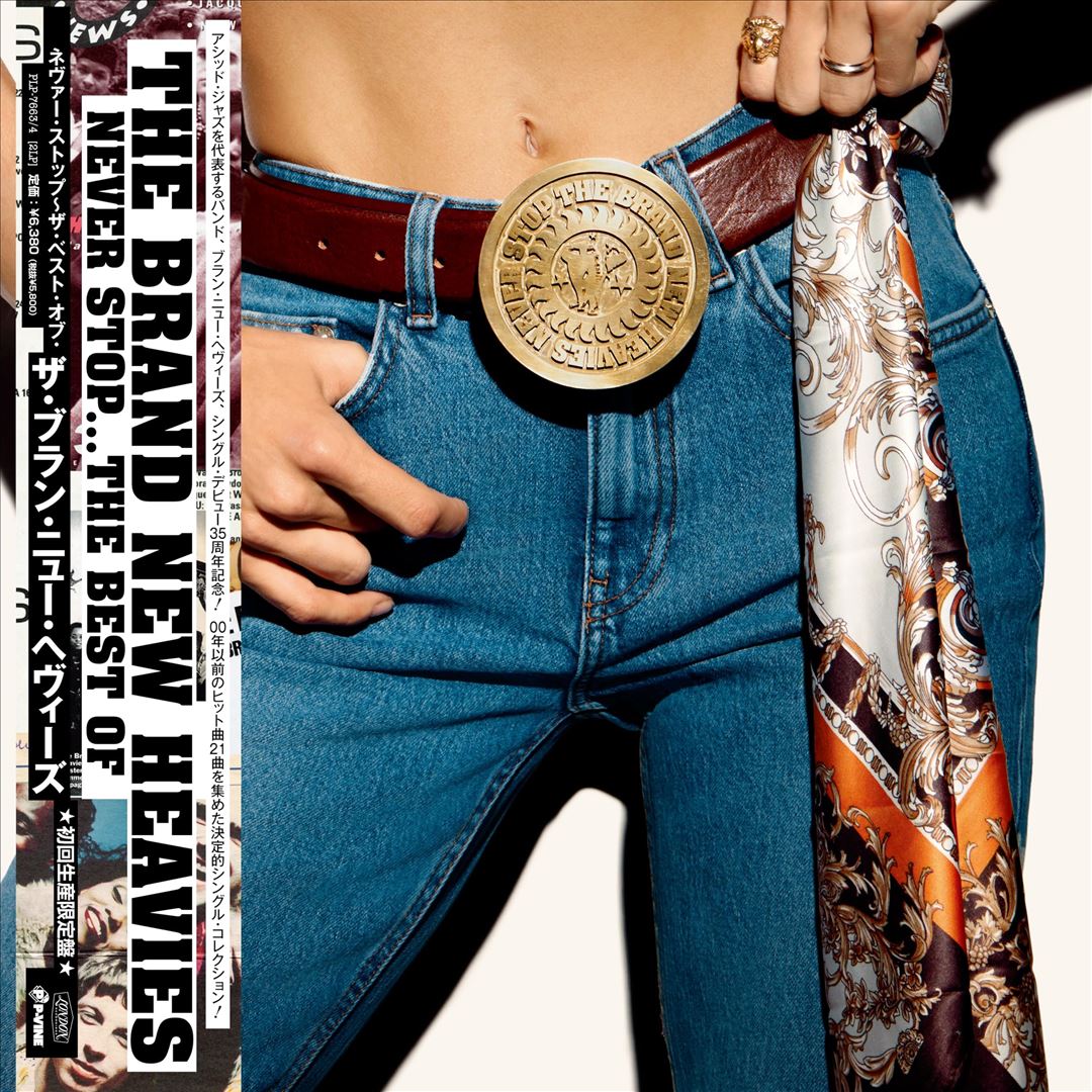 Never Stop…The Best of the Brand New Heavies cover art