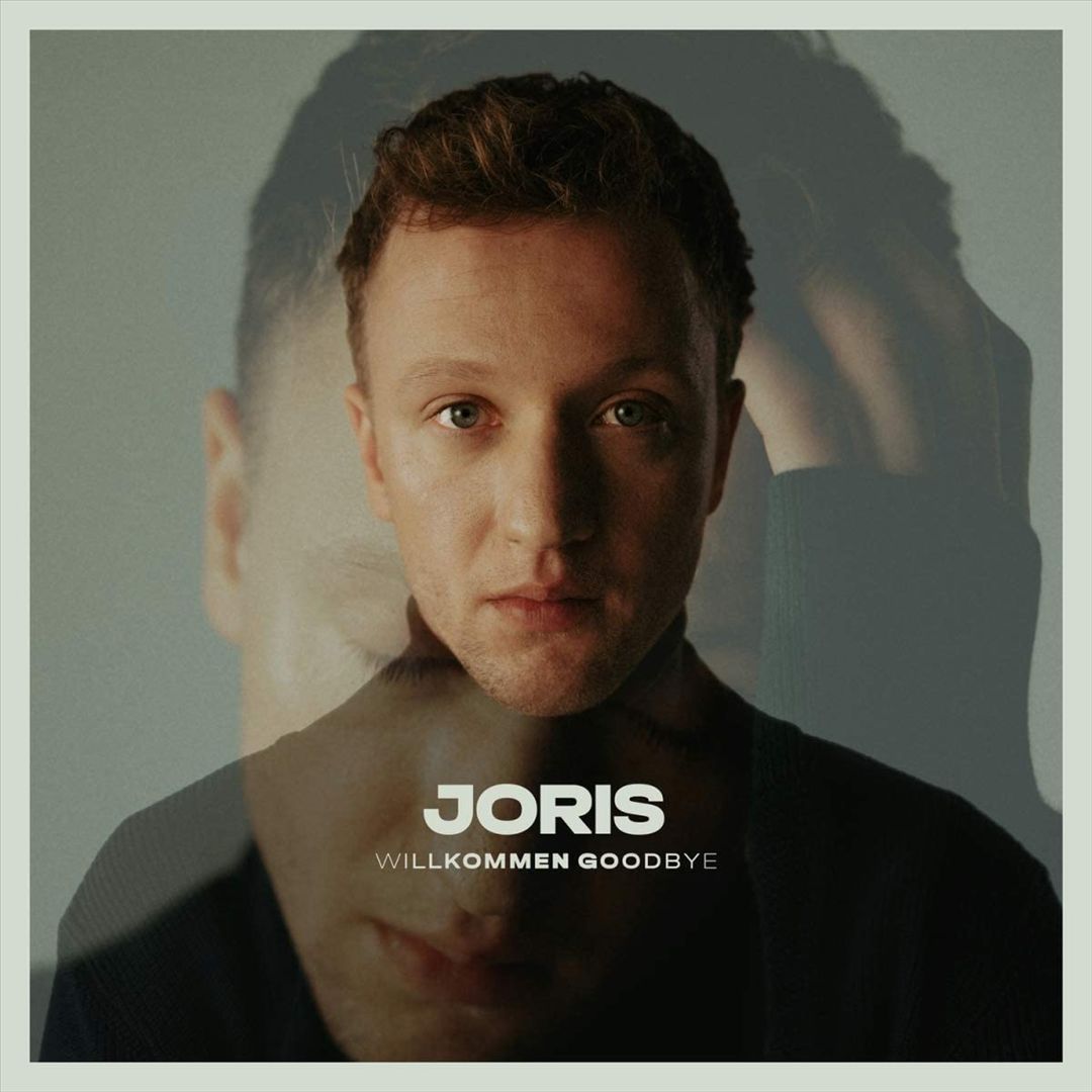 Willkommen Goodbye cover art