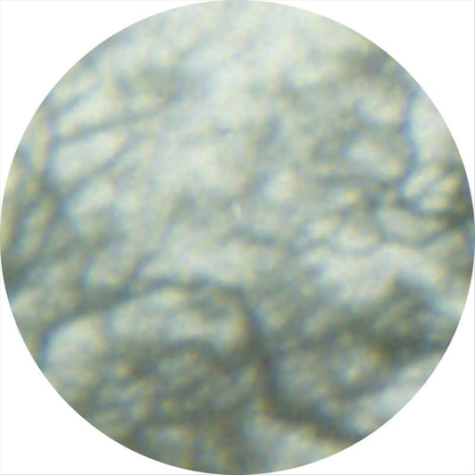 Cafe Nostalgia cover art