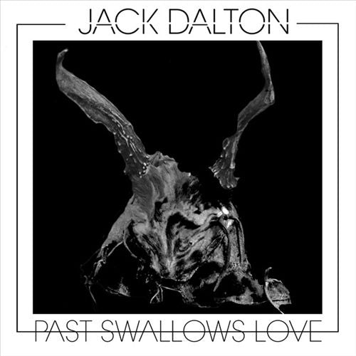 Past Swallows Love cover art