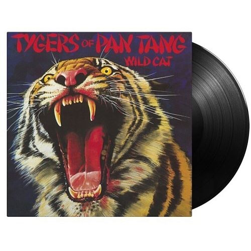 Wild Cat cover art