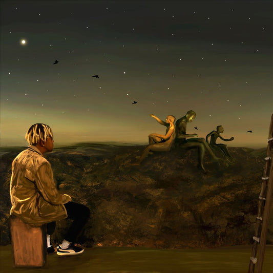 From a Birds Eye View cover art