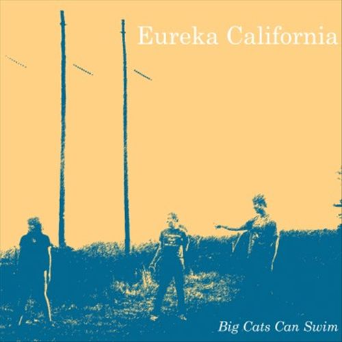 Big Cats Can Swim cover art