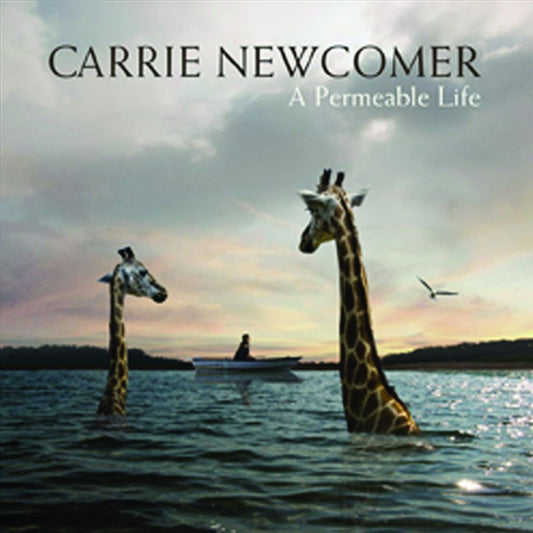 Permeable Life cover art