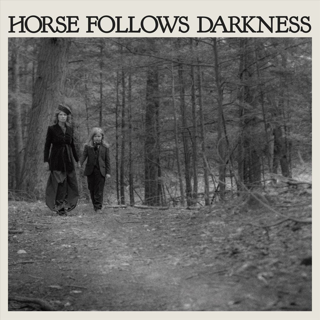 Horse Follows Darkness ]LP] cover art