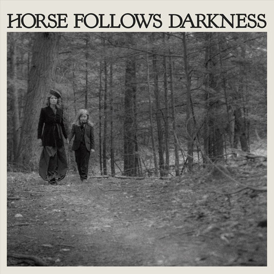 Horse Follows Darkness ]LP] cover art
