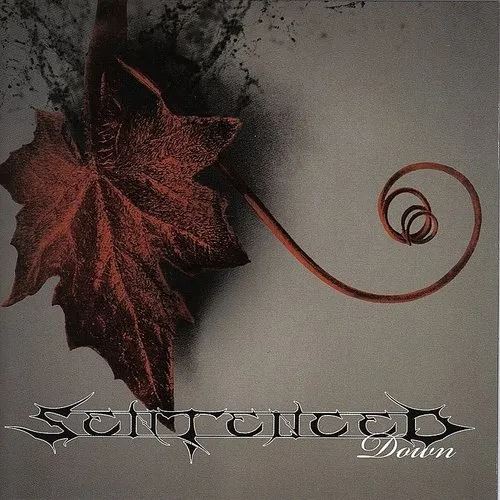 Down cover art